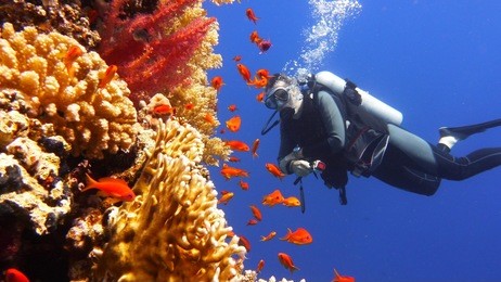 man scuba diver watching beautiful colorful coral reef with shoal of red fish