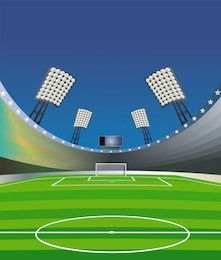 soccer background with stadium, field and detailed goal. "fish eye" effect. vector illustration.