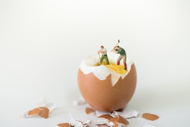 miniatures worker people working on crash egg. using as background business concept.