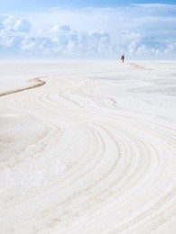 traveler on the salt lake.