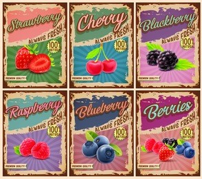 fruit vintage banner