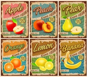 fruit vintage banner