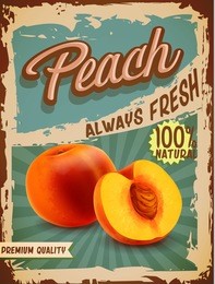 peach vintage banner