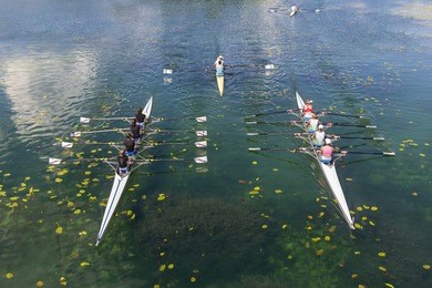 young athletes rowing on the tranquil lake