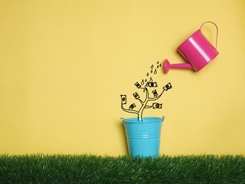 top view investment is like planting trees. take care it will provide a good growth on colorful background.watering can and money tree drawn concept for business investment, savings and making money.