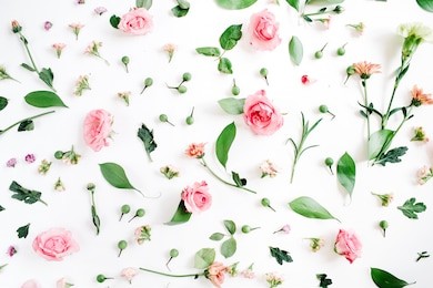 floral pattern made of pink and beige roses, green leaves, branches on white background. flat lay, top view. valentine's background. floral pattern. pattern of flowers. flowers pattern texture
