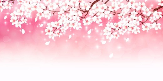cherry spring flower background