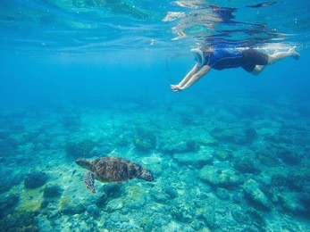 snorkel and green turtle underwater photo. sea turtle with swimming woman in mask and snorkeling gear. exotic sea animals. tropical island vacation sport activity. sea lagoon with tortoise. sea fauna