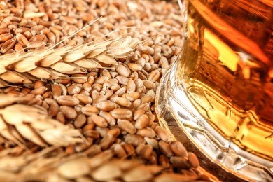 barley seeds and glass of beer, close up