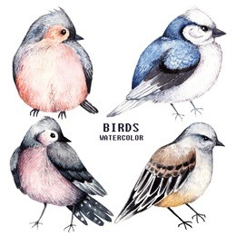 set of colorful watercolors birds isolated on white background, natural illustration, watercolor birds collection