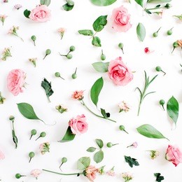 valentines day background. floral pattern made of pink and beige roses, green leaves, branches on white background. flat lay, top view. valentine's background