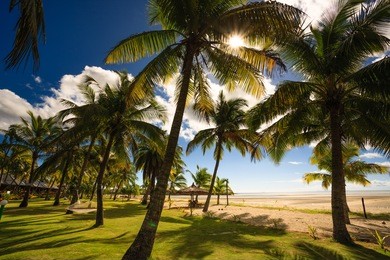 beach on fiji - viti levu - oceania