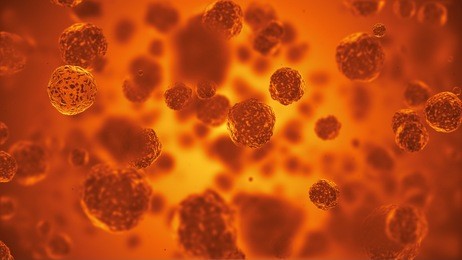 abstract spherical virus or germs microorganism cells under microscope. fast multiplication of bacteria. infection and microbe. microbiology, popular scientific background. high quality 3d render.