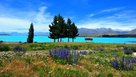 turquoise water of glacial lake tekapo and the church of good shepard , south island, new zealand