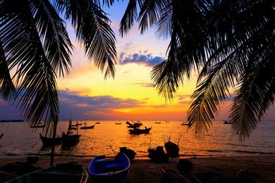 dark silhouettes of palm trees and amazing cloudy sky on sunset at tropical island in indian ocean. coconut tree with beautiful and romantic sunset. koh tao popular tourist destination in thailand.