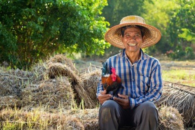 asian farmer wearing rattan hat with his chicken on his lap with green farm background in the distance.