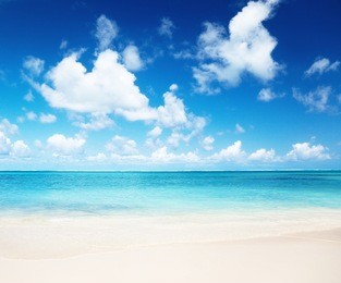 sand of beach caribbean sea