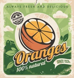 vintage poster template for orange farm. fruit retro label design. vector old paper texture food background.