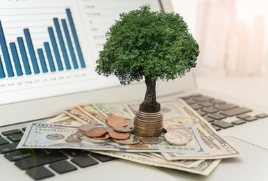 investment concept. tree grow up on money stack with investment portfolio on desk of fund manager. 
