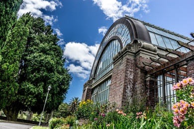 auckland winter gardens glasshouse