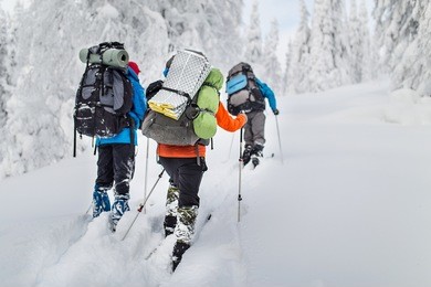 group hikers with backpacks and skis walk on a snow-covered forest in the mountains of the urals