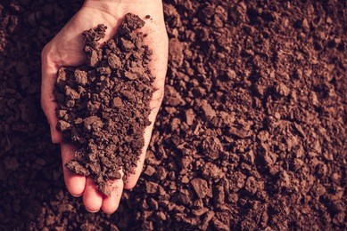 soil in hand, palm, cultivated dirt, earth, ground, brown land background. organic gardening, agriculture. nature closeup. environmental texture, pattern. mud on field.