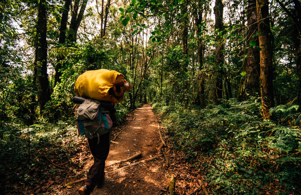 kilimanjaro mountain jungle, route with guide and porter
