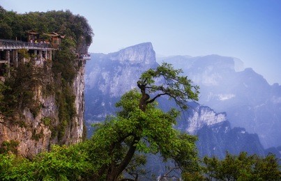 the cliff walk on the summit of tianmen shan or mount tianmen in the city of zhangjiajie in hunan province china.