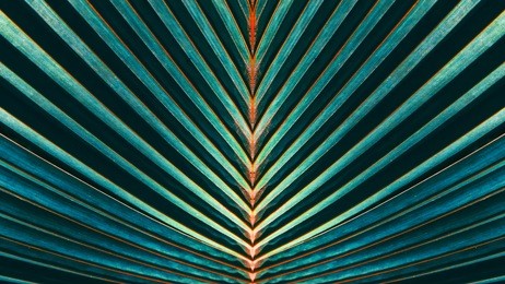 striped of palm leaf, abstract green texture background, vintage tone