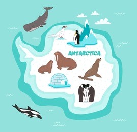 antarctic continent map with wildlife animals vector illustration. dolphin, sperm whale, emperor penguin, seal, walrus in cartoon style. antarctic snowbound continent in blue ocean with wild animals