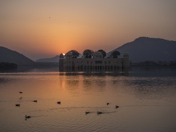 silhouette of birds and ducks at jal mahal during sunrise.