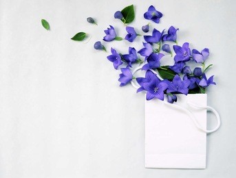 background for text or greetings for mothers day or birthday ,top view spring flowers floral frame ,flat lay