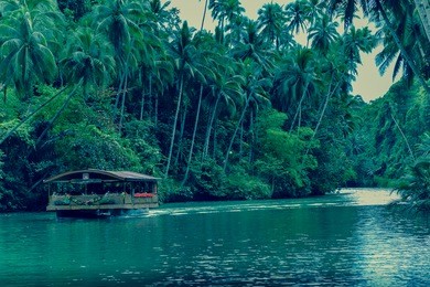 cruise on loboc river, philippines