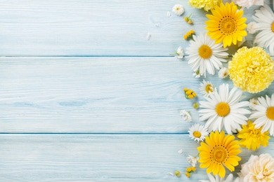 garden flowers over blue wooden table background. backdrop with copy space