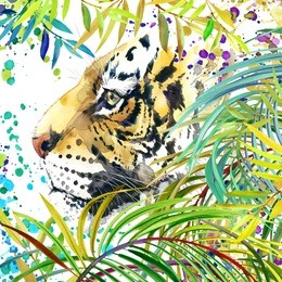 tiger watercolor illustration