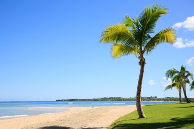 beach on fiji - viti levu - oceania