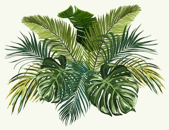 vector vintage composition with exotic leaves. botanical classic illustration. perfect for wallpapers, web page backgrounds, surface textures, textile.