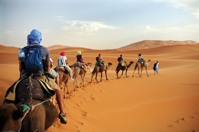 caravan going through the sand dunes in the sahara desert, morocco - merzuga - tourist visit the desert  on camels during the holidays - adventure and freedom during a trip , safari - organized travel