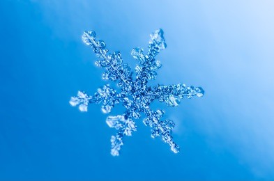 macro snowflake ice crystals present natural