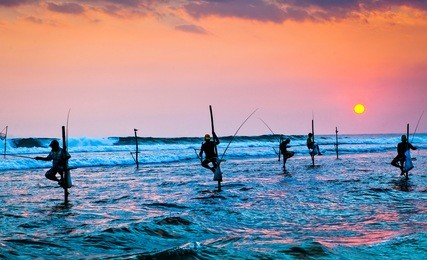 silhouettes of the traditional stilt fishermen at the sunset near galle in sri lanka