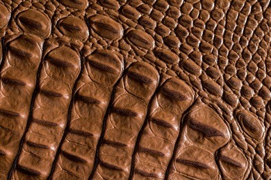 crocodile leather textured background