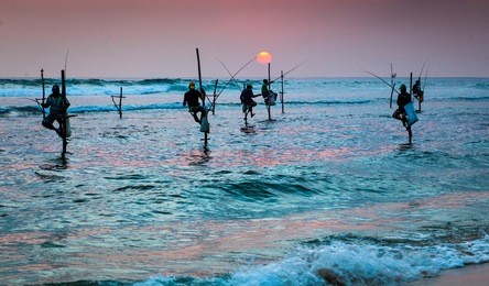 silhouettes of the traditional stilt fishermen at the sunset near galle in sri lanka