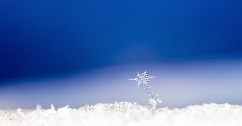 natural snowflakes on snow, photo real snowflakes during a snowfall, under natural conditions at low temperature
