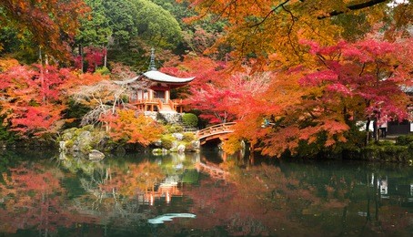 autumn temple