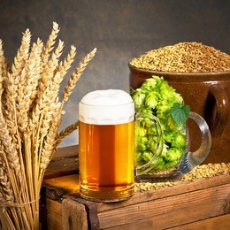 glass of beer with raw material for beer production