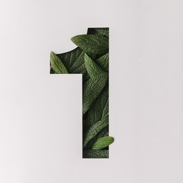 number one shape cutout with green leaves. nature concept. flat lay.