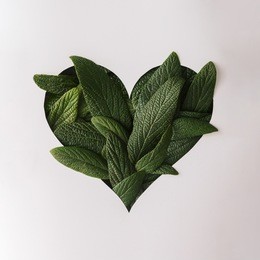 heart shape cutout with green leaves. love concept. flat lay.