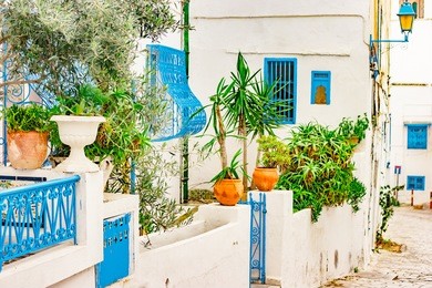sidi bou said, famouse village with traditional tunisian architecture. white walls with flower pots and blue windows.