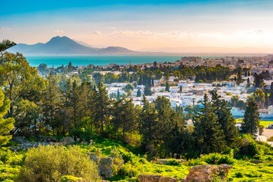 view from hill byrsa with ancient remains of carthage and landscape. tunis, tunisia.