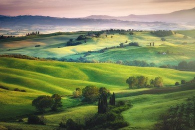 gorgeous greens in the landscape and with light painted.